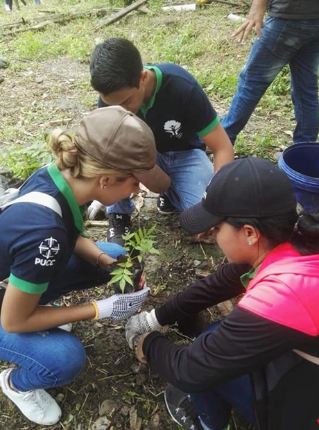 Gestión ambiental, plantaciones con fines de conservación y protección